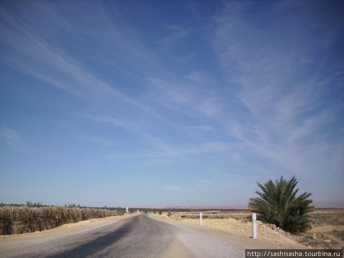 Но сворачивать было особо некуда, так что шли по пустынной дороге в надежде на попутку Таузар, Тунис