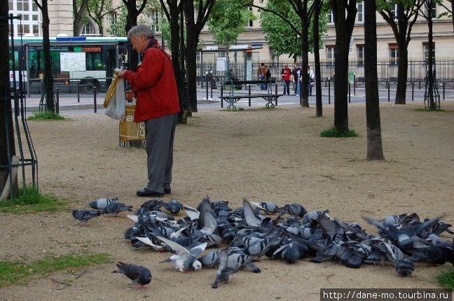 Животные Париж, Франция