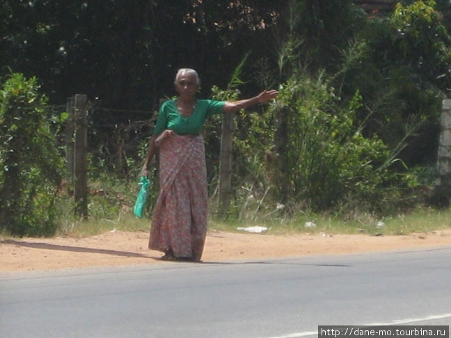 Сначала я подумал, что эта женщина пытается уехать автостопом... Северо-Центральная провинция, Шри-Ланка
