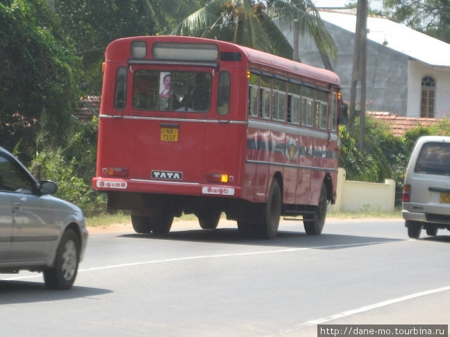 ...но потом я понял, что таким образом она останавливала автобус. Северо-Центральная провинция, Шри-Ланка