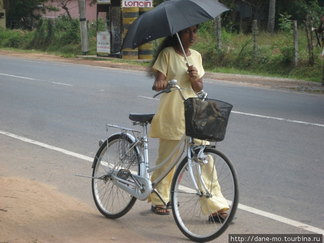 Не думайте, что это прикол — на Шри Ланке в жаркий солнечный день большинство жителей женского пола использует зонт как защиту от солнца. А солнышко, скажу я вам, тут горячее :) Северо-Центральная провинция, Шри-Ланка