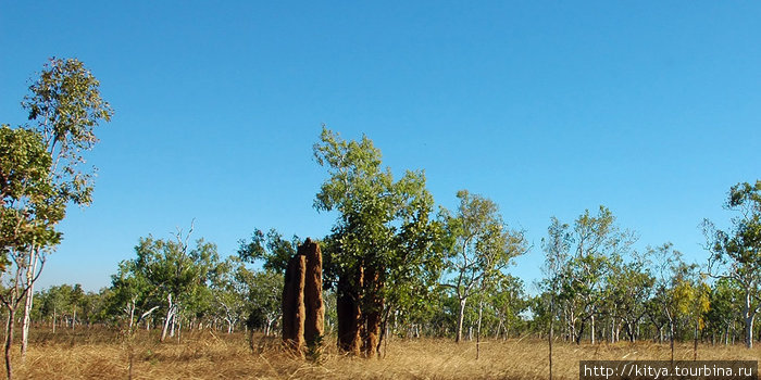 Тропический север Дарвин, Австралия