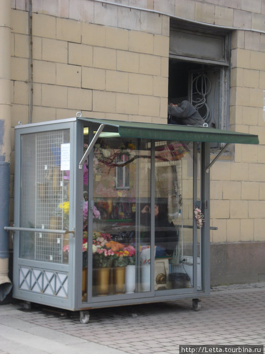 Немного апрельского Петербурга Санкт-Петербург, Россия