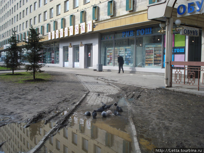 Немного апрельского Петербурга Санкт-Петербург, Россия