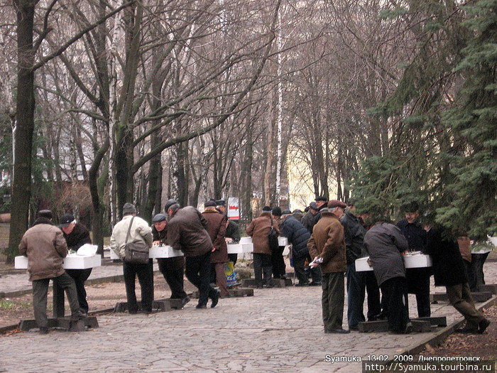 Раннее утро... За столиками проводят свой досуг дедушки-пенсионеры. Они играют в шахматы... играют весь день... и каждый день... и даже зимой... Днепр, Украина