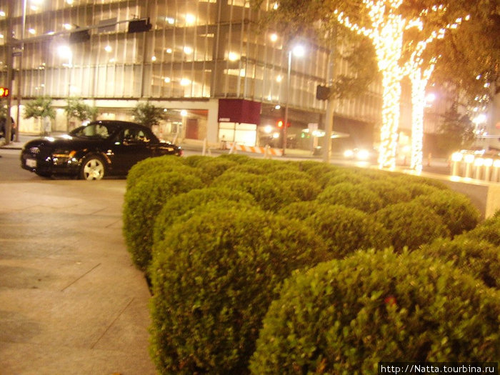 Вечерний Downtown перед Рождеством Хьюстон, CША