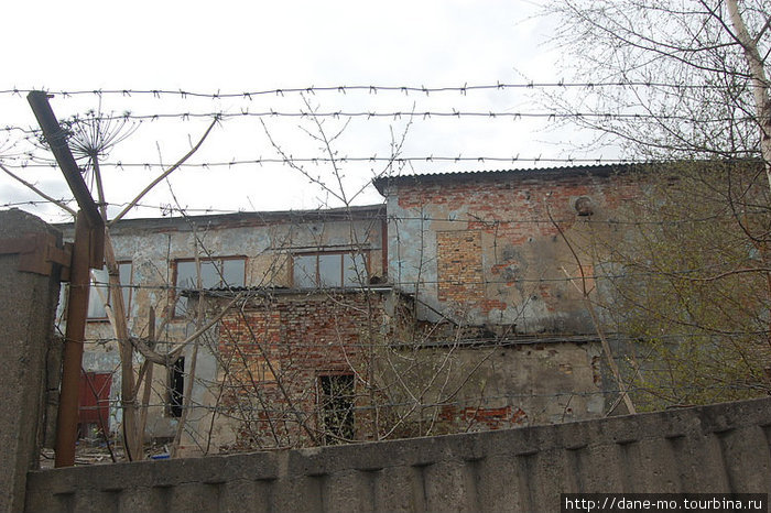 В Эстонию автостопом Санкт-Петербург и Ленинградская область, Россия