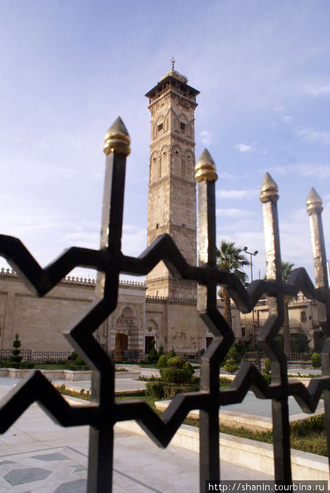 Мечеть Омейядов за решеткой забора Алеппо, Сирия