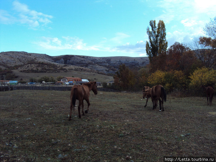 Красная пещера Симферополь, Россия