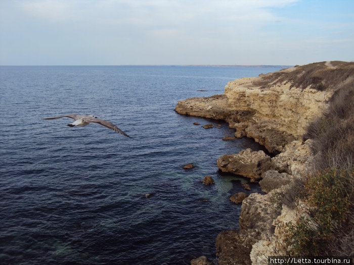 Даже в октябре в Черном море можно купаться Область Севастополь, Россия