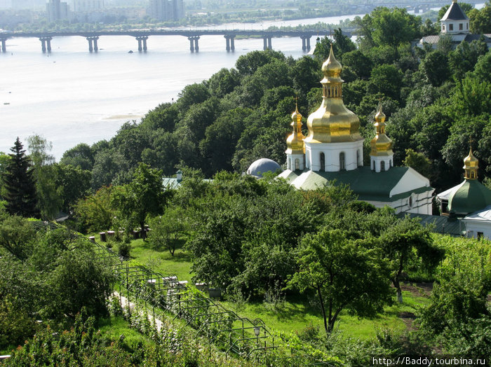 Местные виноградники и абрикосовый сад. Вид на реку Днепр и Левый берег. Киев, Украина