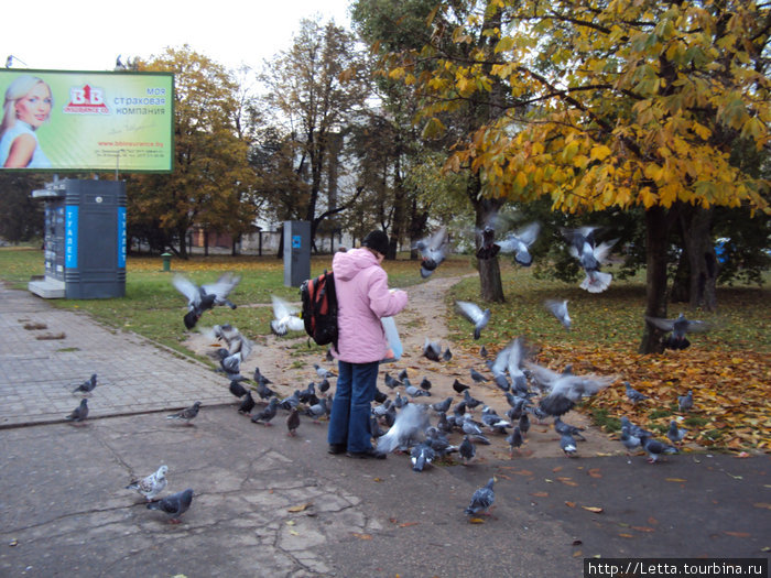 Столица чистоты Минск, Беларусь