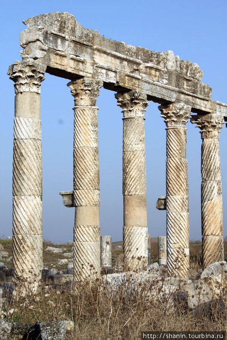 Колонны Афамия, Сирия