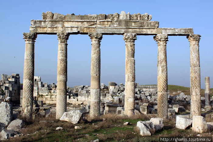 Классические колонны Афамия, Сирия