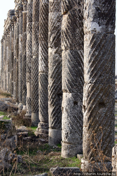 Длинный ряд колонн Афамия, Сирия