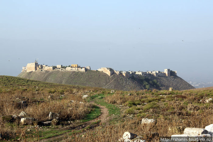 Замок рядом с руинами Афамии Афамия, Сирия