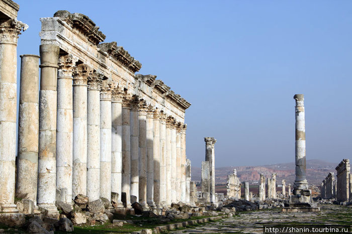 Колонны храма и триумфальная колонна Афамия, Сирия