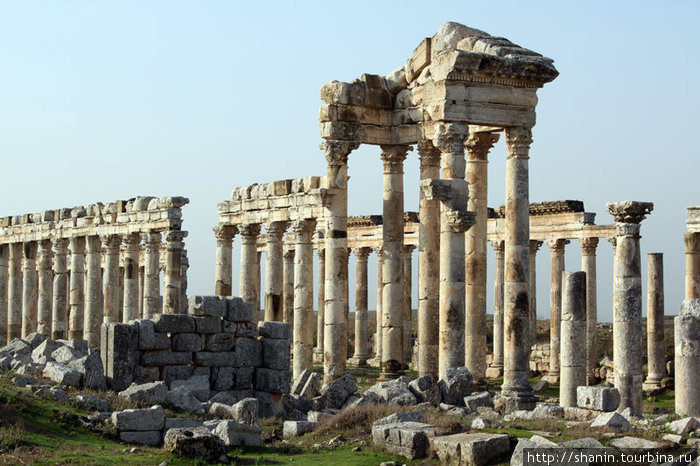 Руины Афамии Афамия, Сирия