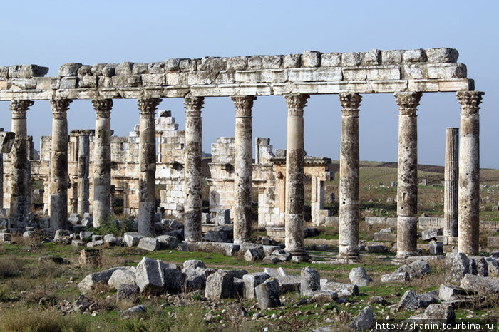 Колонны и обломки колонн Афамия, Сирия
