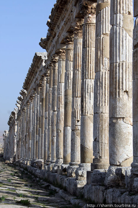 Ряд колонн — на центральной улицы Афамии Афамия, Сирия