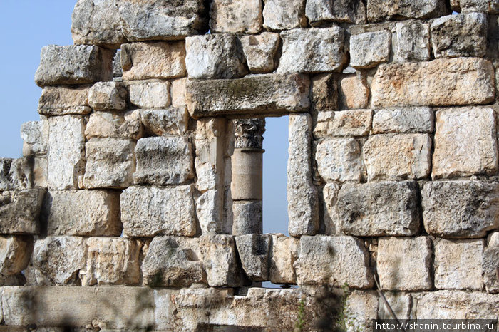 Просвет в стене — и еще одна колонна! Афамия, Сирия