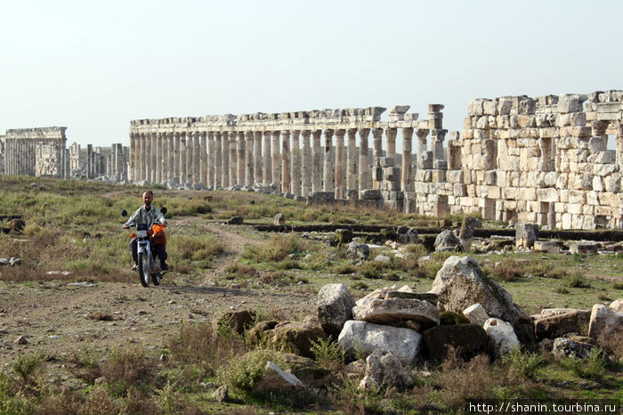 Мотоциклист спешит предложить на продажу настоящие античные монеты Афамия, Сирия