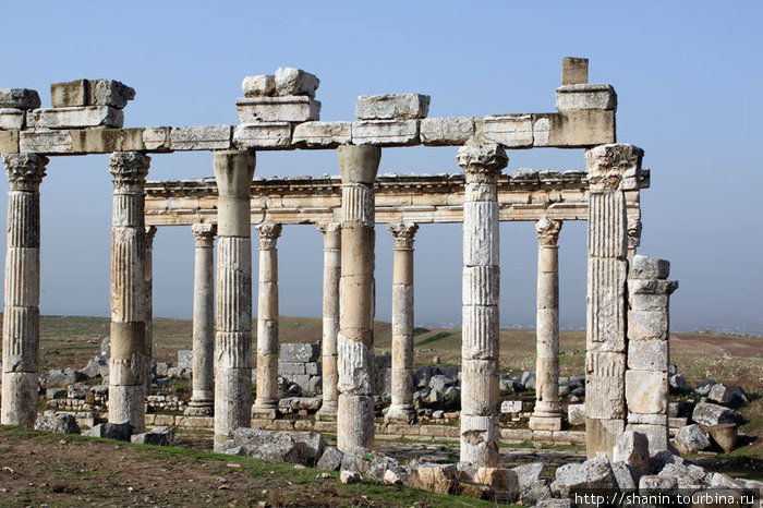 Колонны и потолочные перекрытия Афамия, Сирия