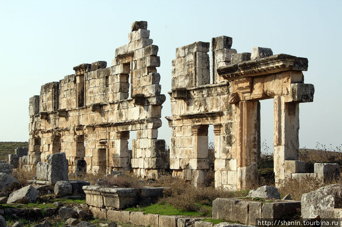 Стена без колонн — большая редкость в Афамии Афамия, Сирия