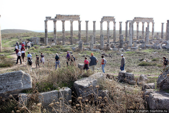 Туристы на руинах Афамии Афамия, Сирия
