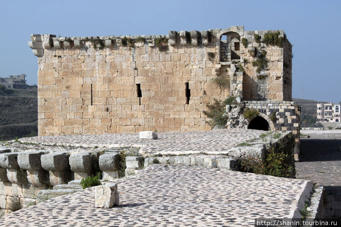 На второй — внутренней — стене замка Сирия