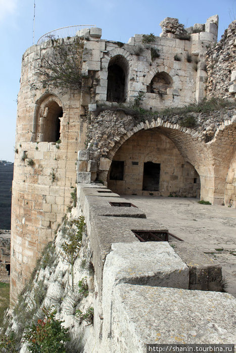На стене внутреннего замка Сирия