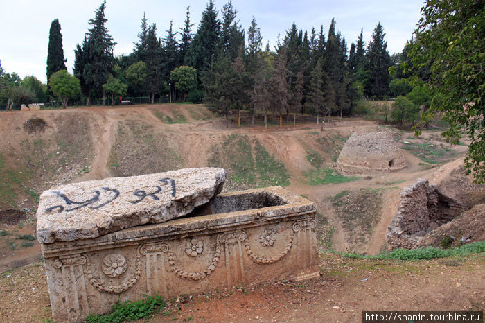 Пустая гробница на территории крепости Хама, Сирия
