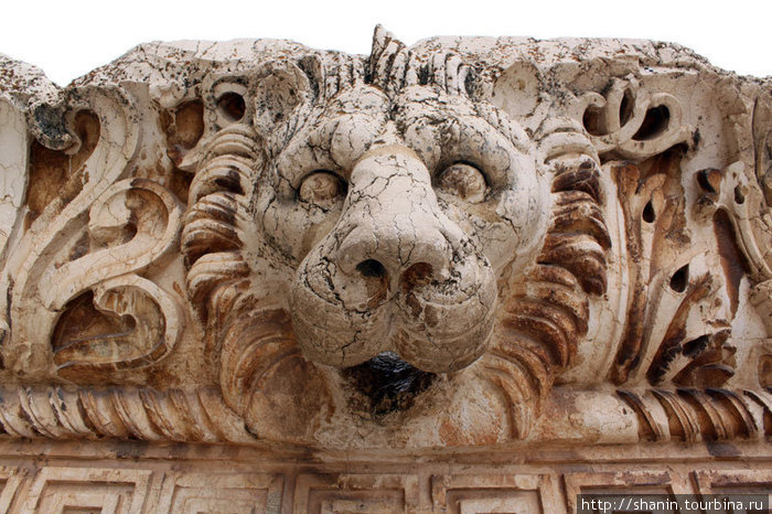 Львиная маска Баальбек (древний город), Ливан