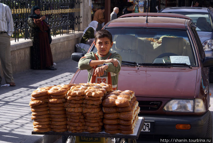 Серьезный торговец бубликами Алеппо, Сирия