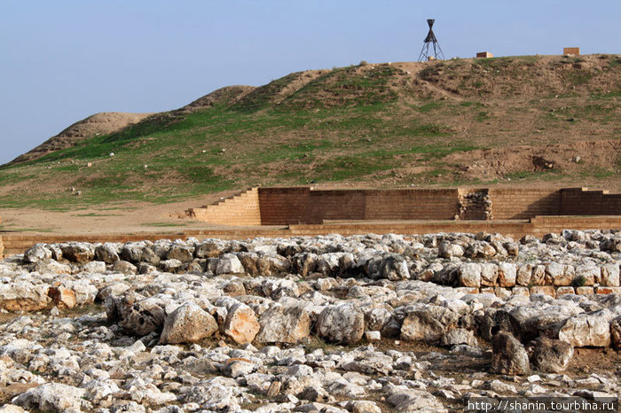 Руины Эблы Афамия, Сирия