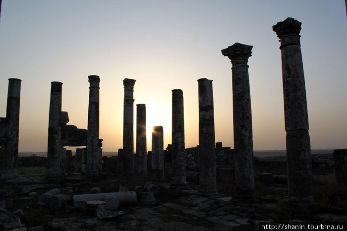 Рассвет в Афамии Афамия, Сирия