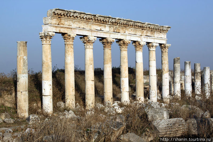 Колонны в Афамии Афамия, Сирия