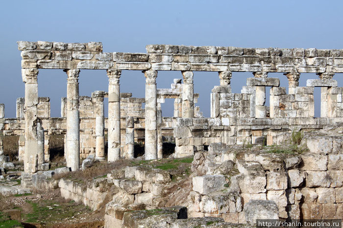 Два ряда колонн Афамия, Сирия