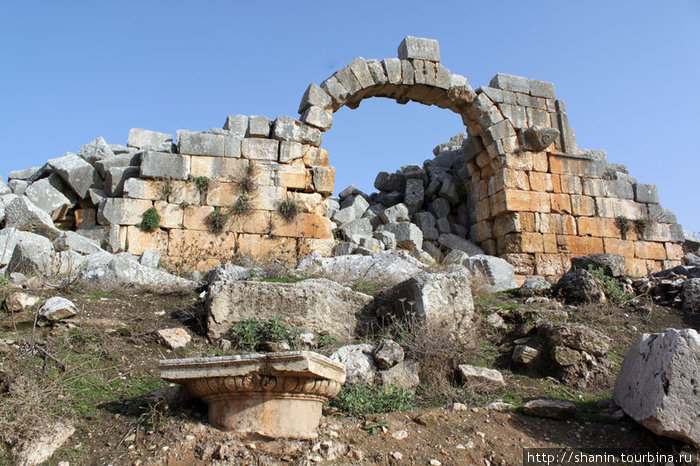 Антиохийские ворота в Афамии Афамия, Сирия