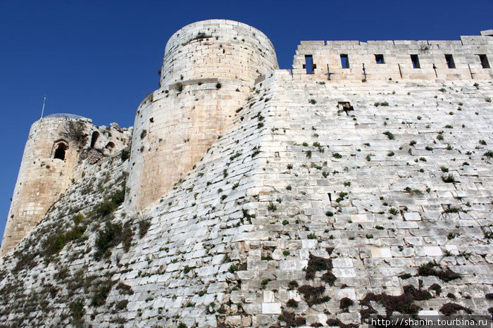 Внутренний замок Крак де Шевалье Сирия