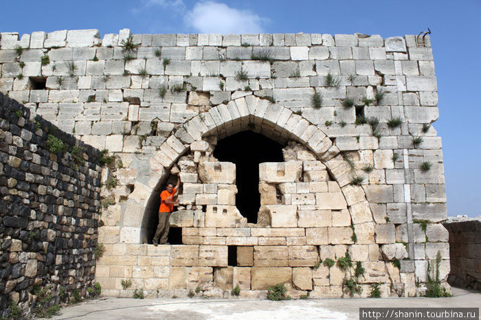 Арка в замке Крак де Шевалье Сирия