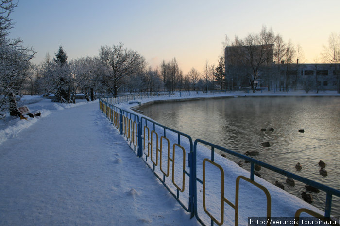 Соленое озеро. Старая Русса, Россия