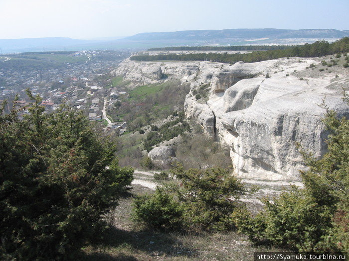 Можжевельник. Бахчисарай, Россия