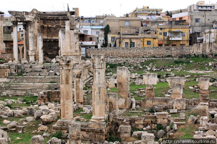 Руины храма Венеры Провинция Бекаа, Ливан