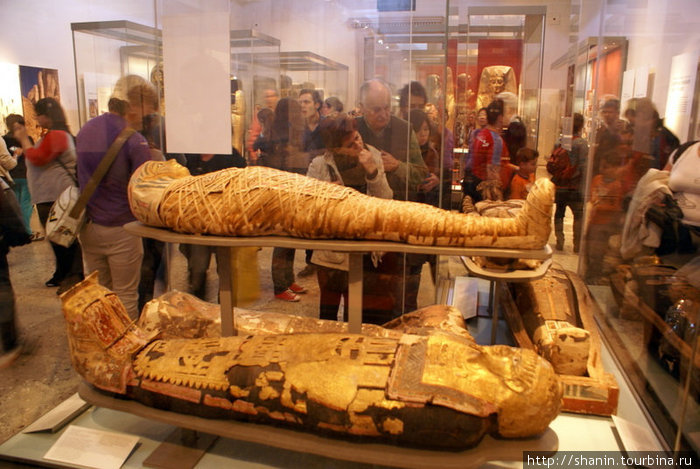 У египетских мумий всегда толпится народ Лондон, Великобритания