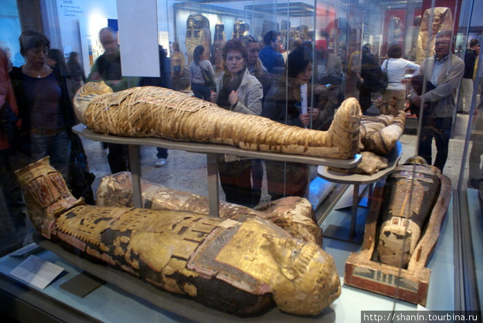 В Британском музее египетских мумий не меньше, чем в Египте Лондон, Великобритания