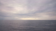 Белое море между Кемью и Соловецкими островами