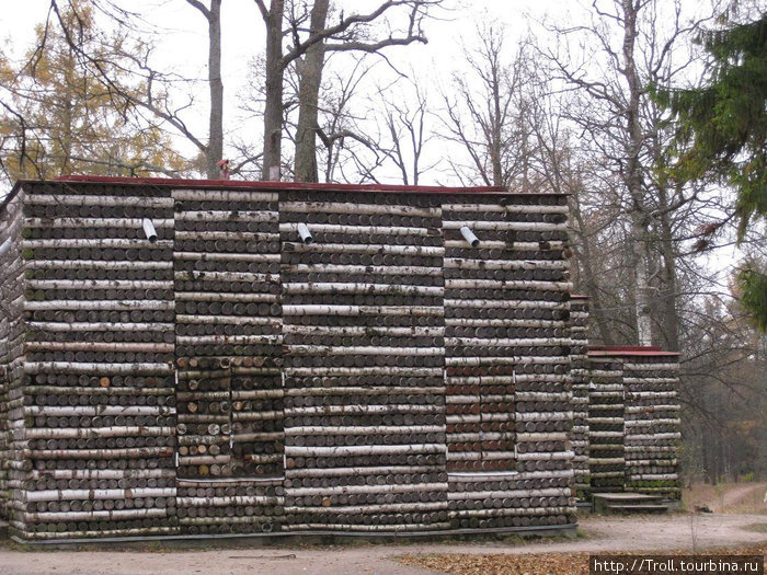 Диковинное сооружение из березовых поленьев Гатчина, Россия