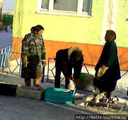 Коренные жители продают свежую рыбу Муравленко, Россия