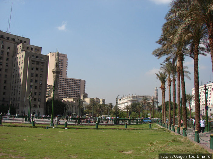 В жарком Каире есть и зелёная травка Каир, Египет